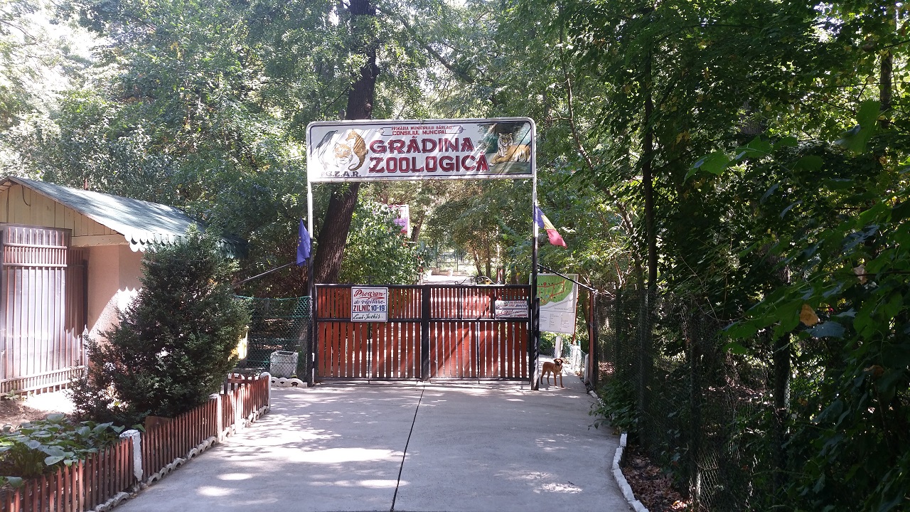 Intrare zoo